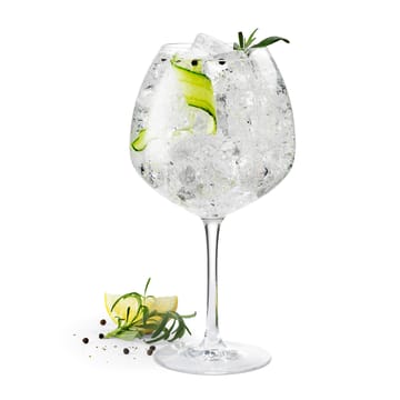Verre à gin Premium 93 cl Lot de 2 - Transparent - Rosendahl