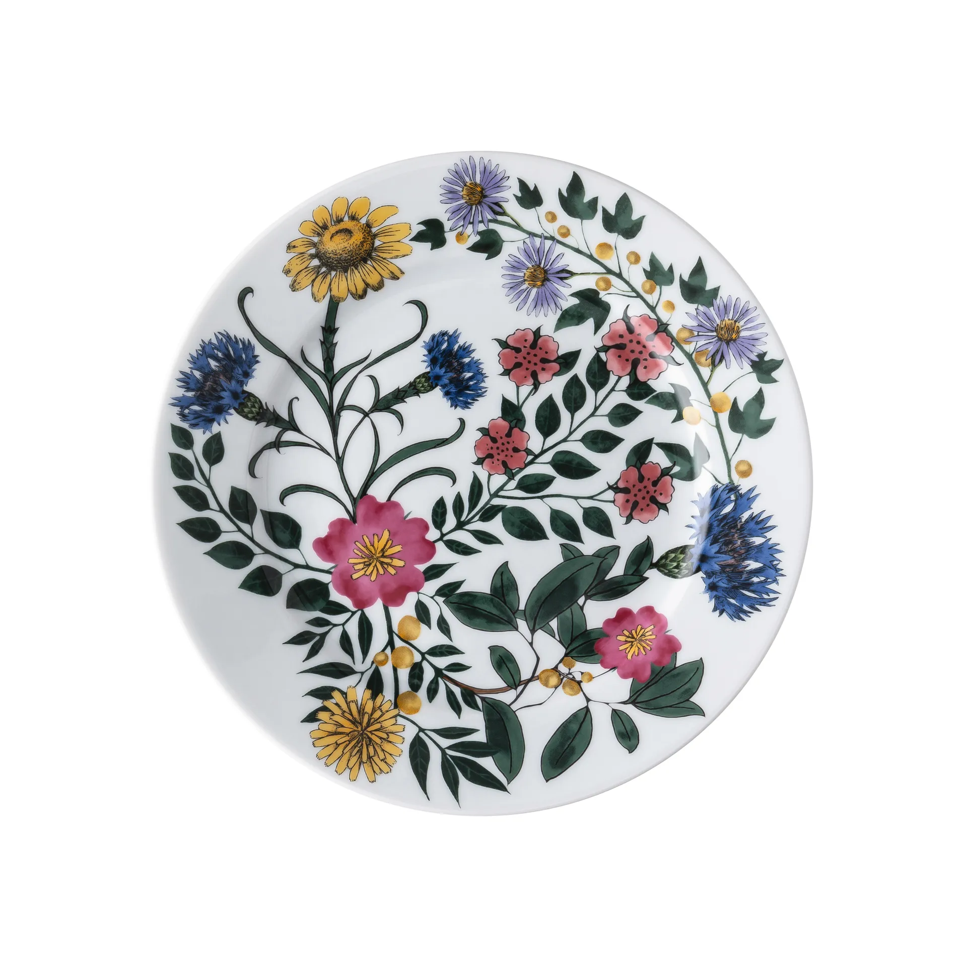 Assiette Magic Garden Blossom 21 cm, Multi Rosenthal