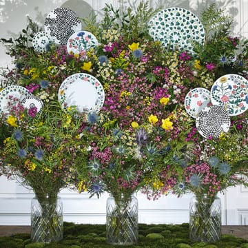 Assiette Magic Garden Foliage 21 cm - Blanc-vert - Rosenthal