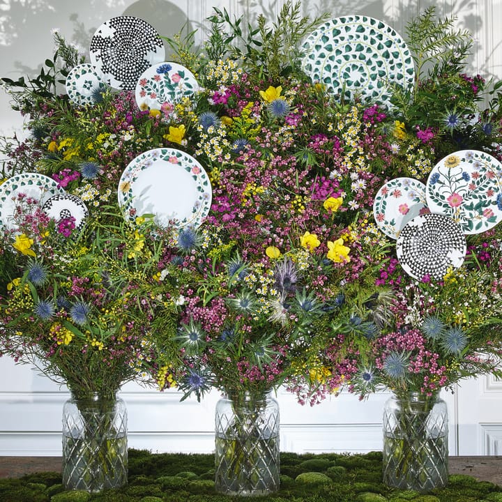 Assiette Magic Garden Foliage 21 cm, Blanc-vert Rosenthal