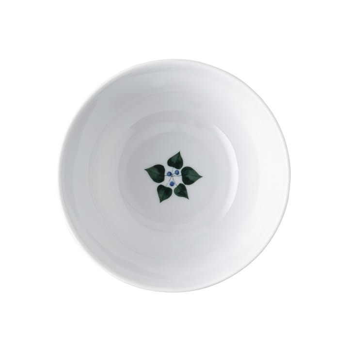 Bol Magic Garden Foliage 15 cm, Blanc-vert Rosenthal
