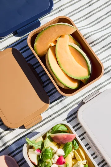 Boîte à déjeuner Tina 1,1 L - Fudge - Sagaform