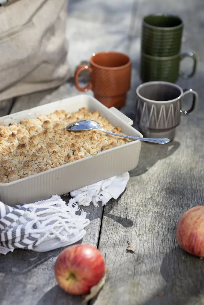 Plat à four Flora beige, 29,5x18,5 cm Sagaform