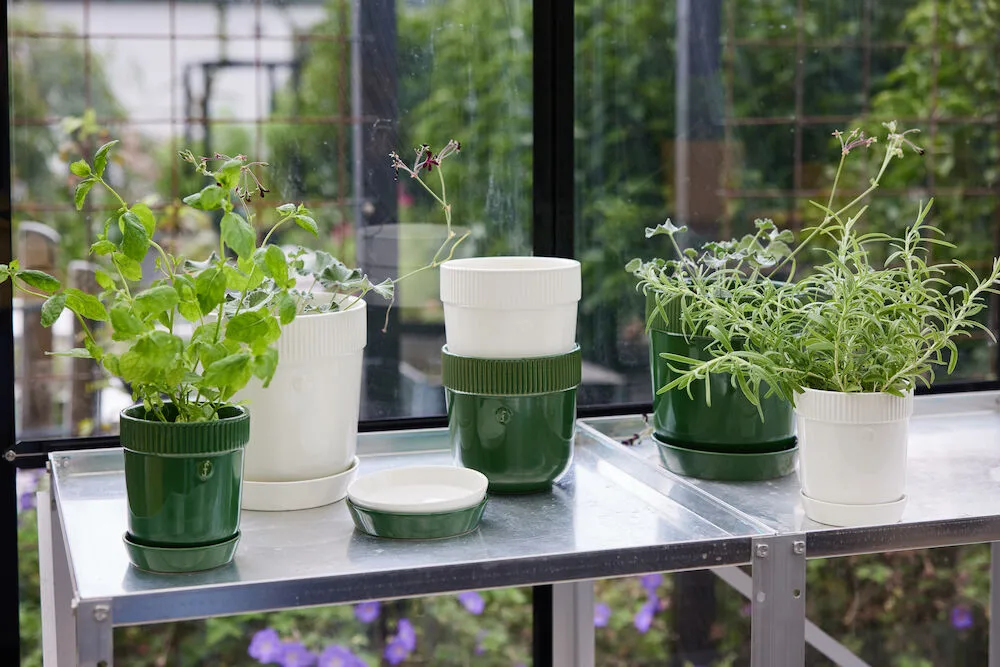 Pot à herbes Elise Ø11 cm, Vert Sagaform