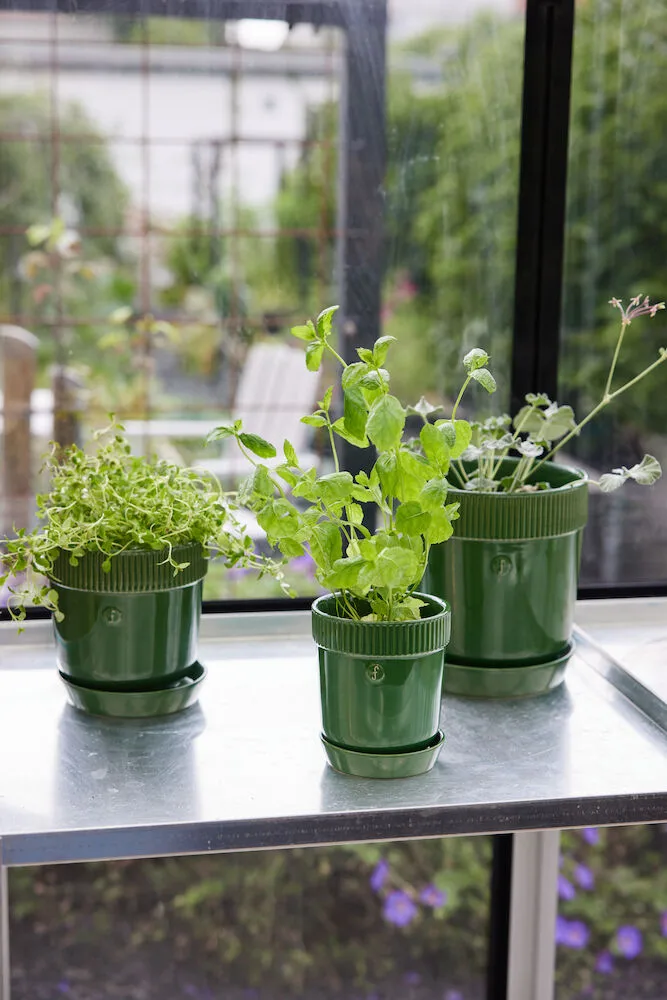 Pot à herbes Elise Ø11 cm, Vert Sagaform