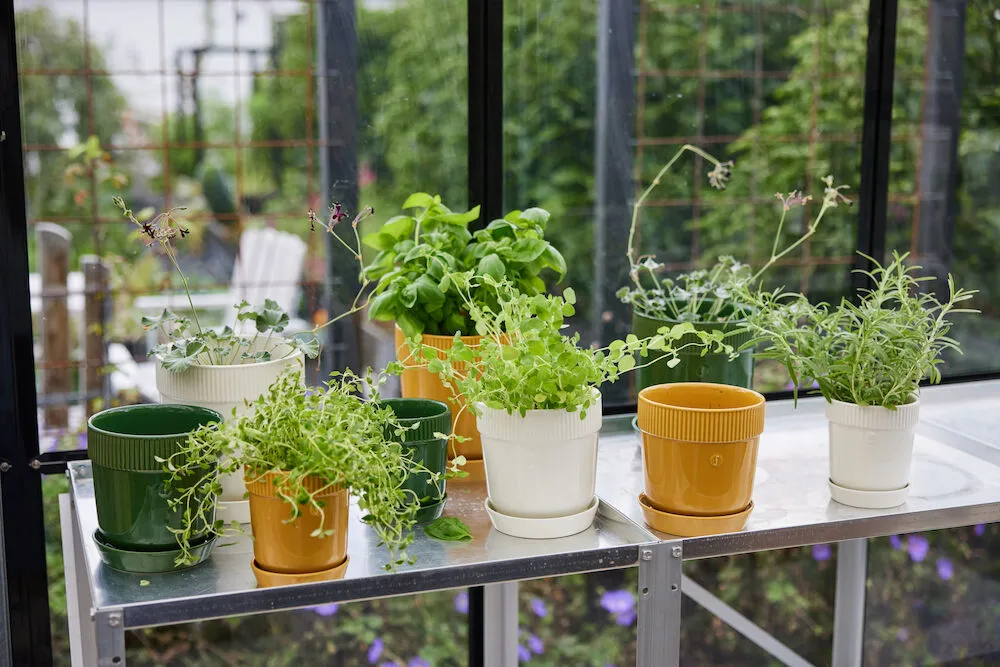 Pot à herbes Elise Ø11 cm, Vert Sagaform