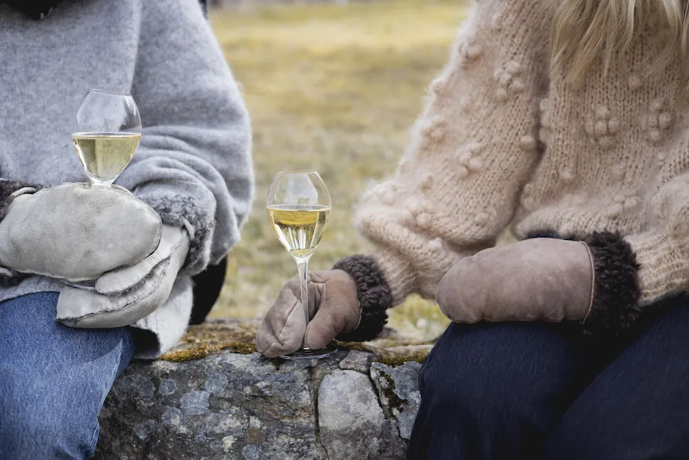 Verre à champagne Saga Lot de 2, Transparent Sagaform
