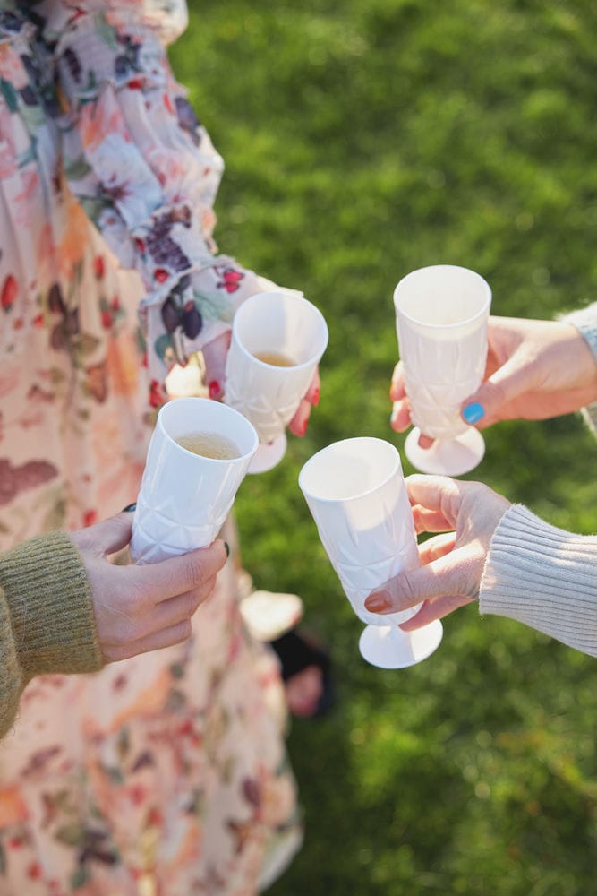 Verres à champagne Picknick lot de 4 - Blanc - Sagaform