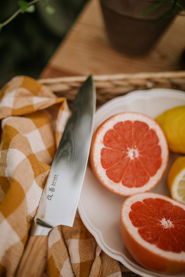 Couteau de chef Satake Kaizen Gyuto, 21 cm Satake