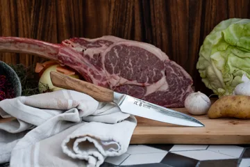 Couteau d'office Satake Kaizen Petty - 12 cm - Satake