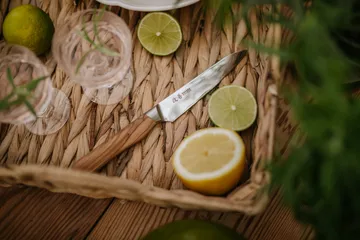 Couteau d'office Satake Kaizen Petty - 12 cm - Satake