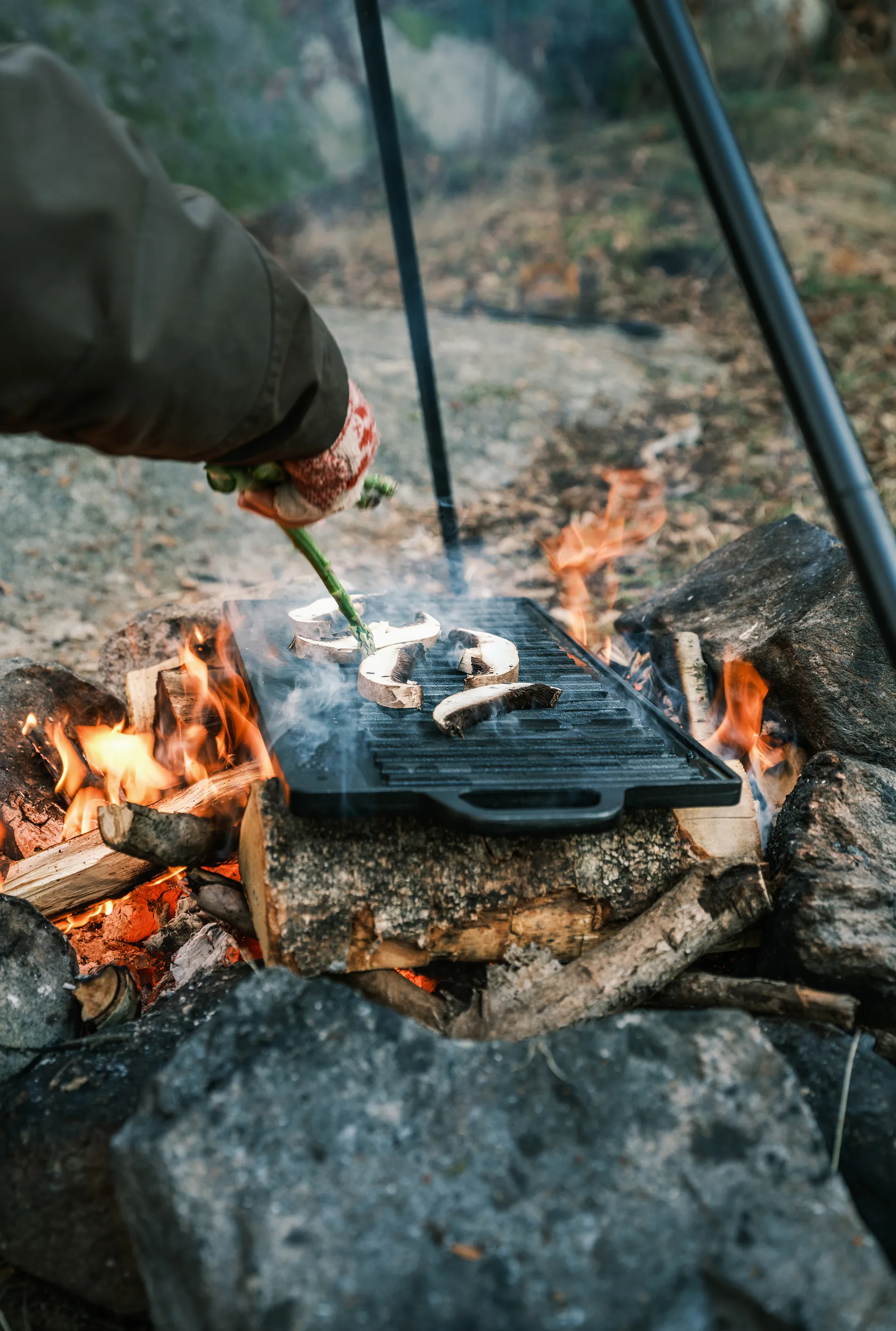Planche à griller Satake pour barbecue, 23x42 cm Satake