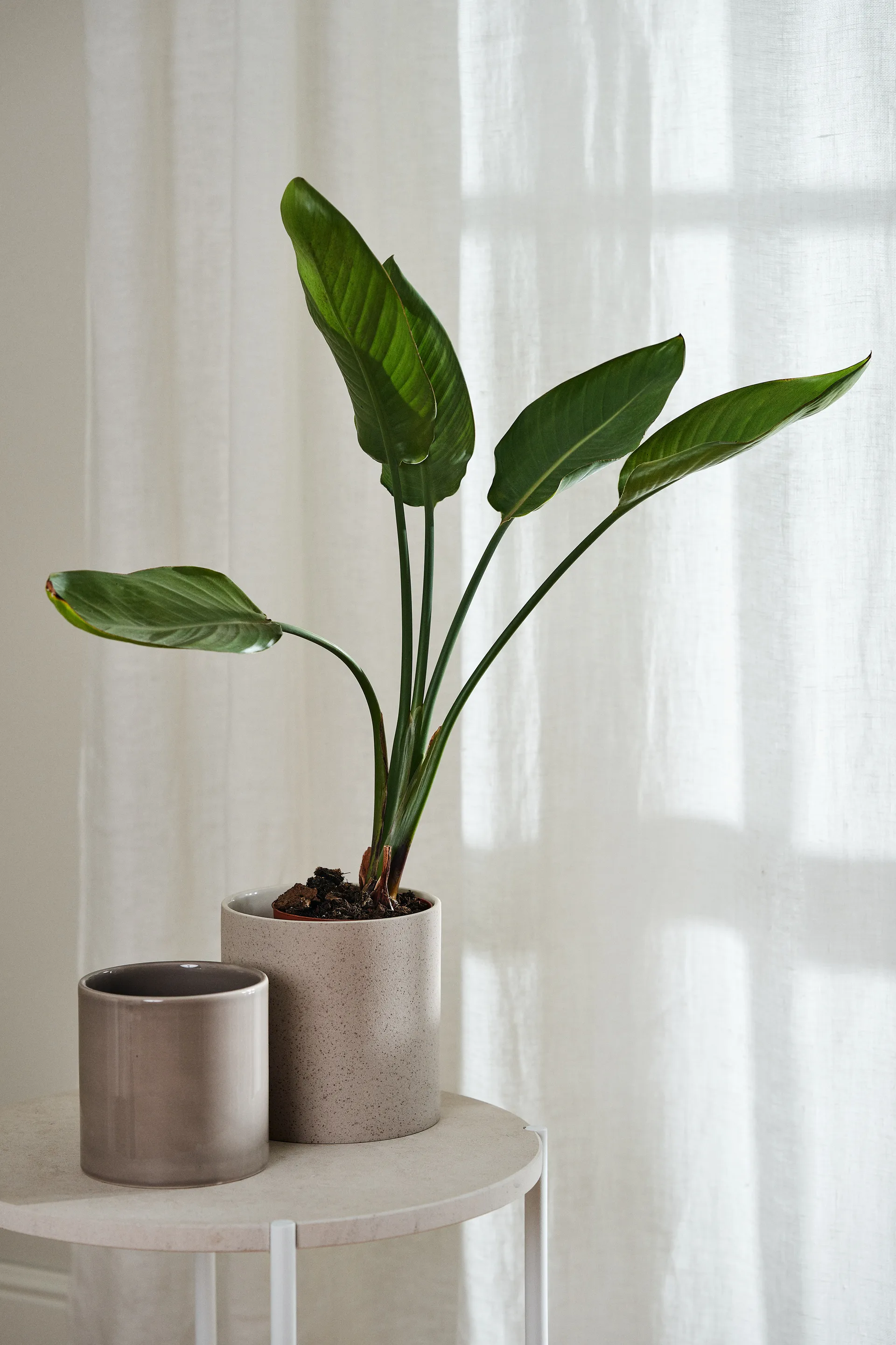 Rideau avec bande Tranquility 139x250 cm, Blanc Scandi Living