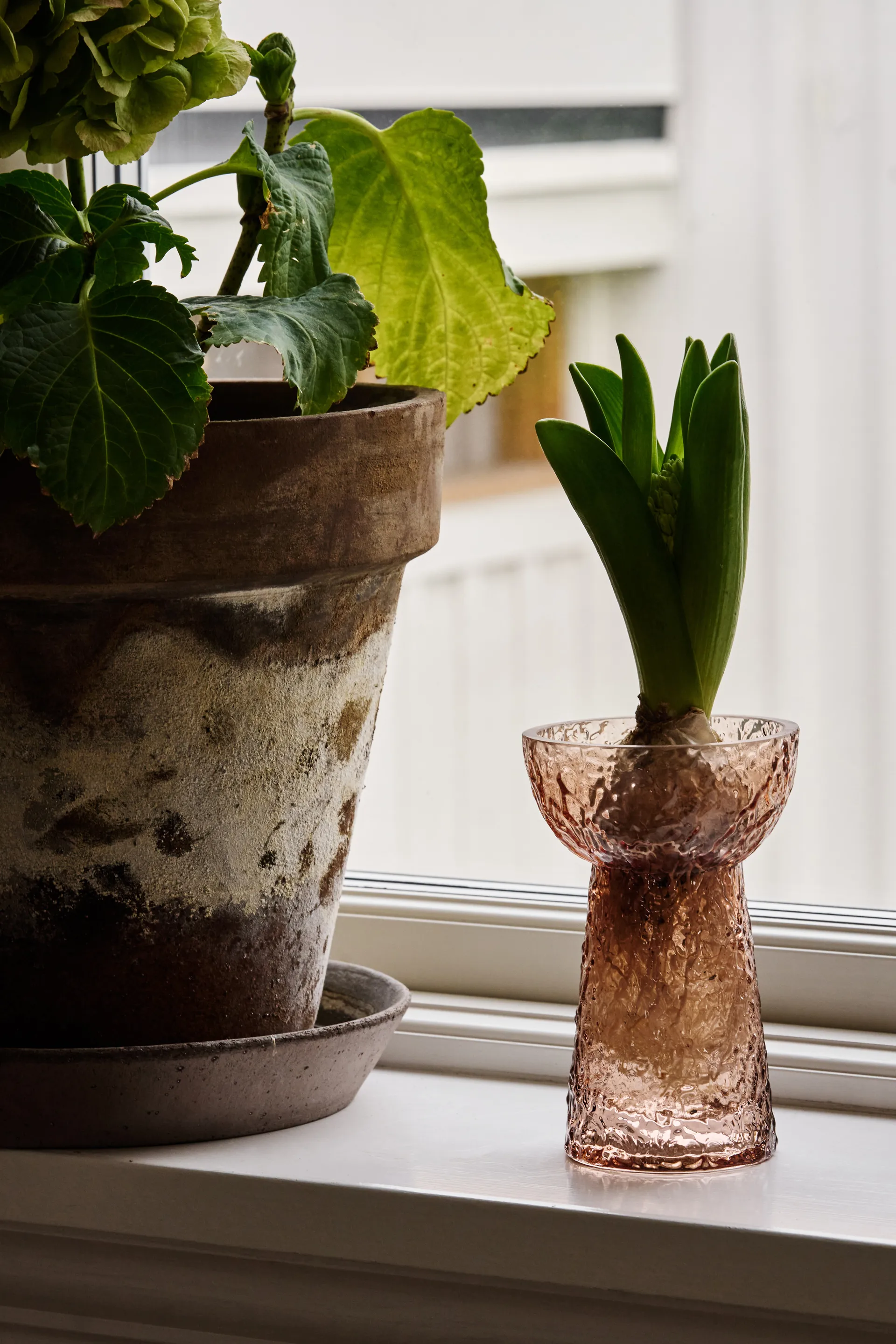 Vase à jacinthe Flor, Marron Scandi Living