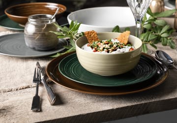 Assiette Terra Ø 27,8 cm, lot de 6 - Moss Green - Seltmann Weiden