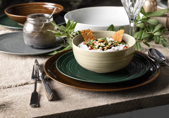 Assiette Terra Ø 27,8 cm, lot de 6, Moss Green Seltmann Weiden