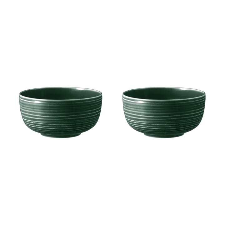 Bol Terra Ø 17,7 cm, lot de 2 - Moss Green - Seltmann Weiden