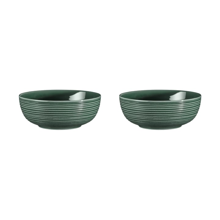 Bol Terra Ø 20,4 cm, lot de 2 - Moss Green - Seltmann Weiden