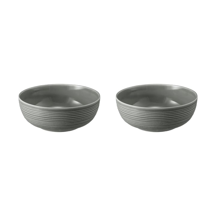 Bol Terra Ø 20,4 cm, lot de 2 - Pearl Grey - Seltmann Weiden