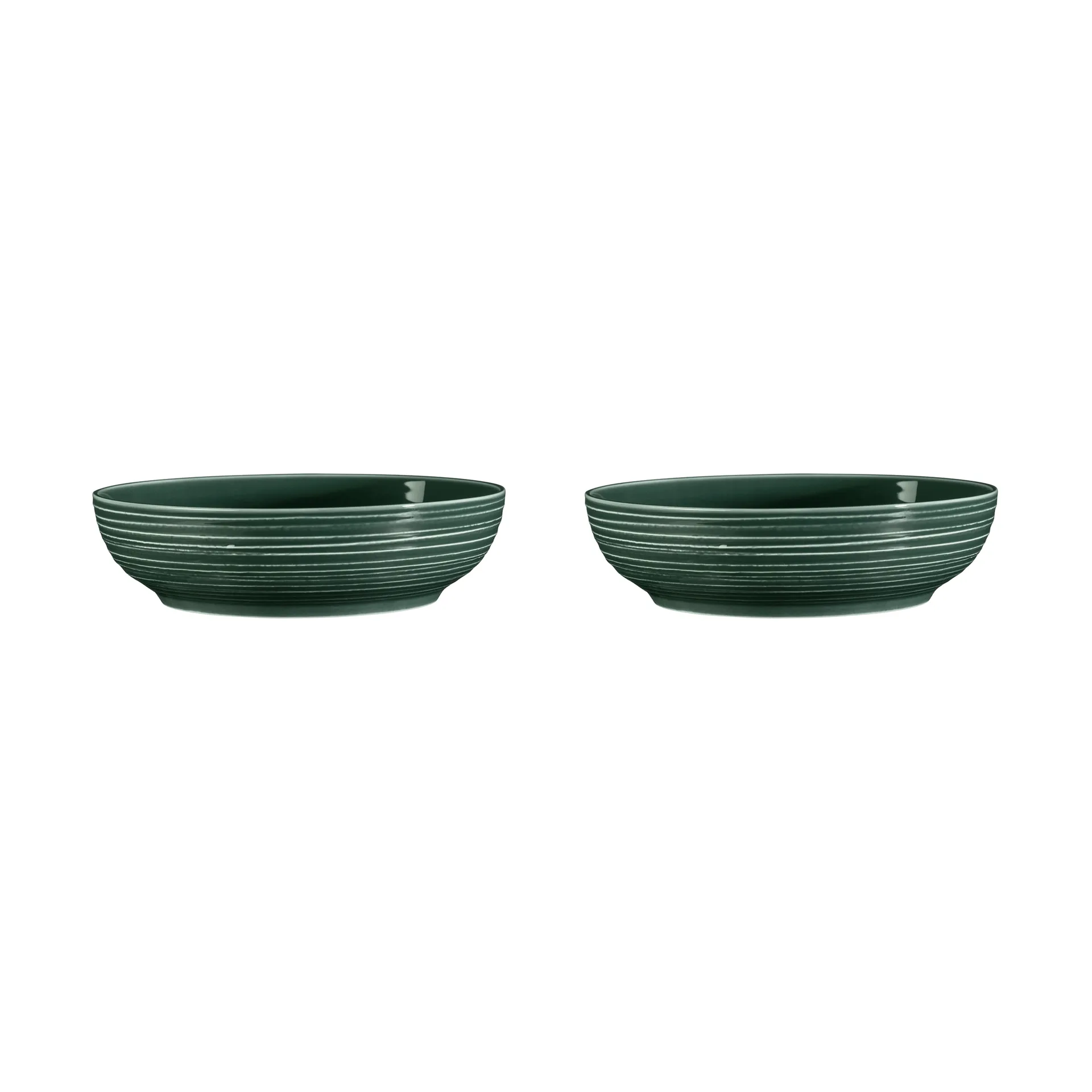 Bol Terra Ø 25,5 cm, lot de 2, Moss Green Seltmann Weiden