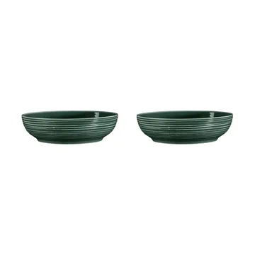 Bol Terra Ø 25,5 cm, lot de 2 - Moss Green - Seltmann Weiden