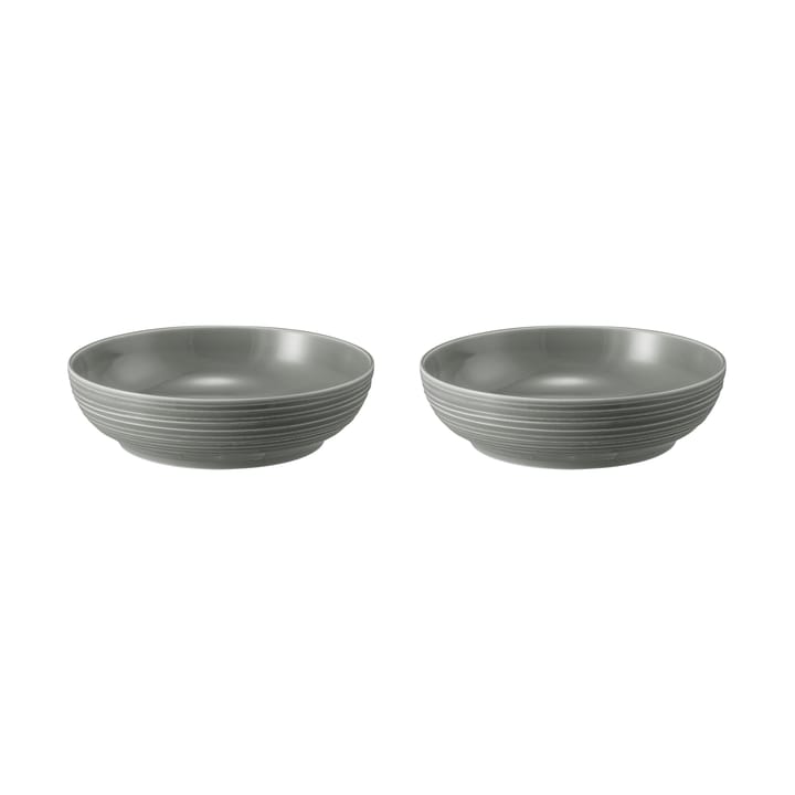 Bol Terra Ø 25,5 cm, lot de 2 - Pearl Grey - Seltmann Weiden