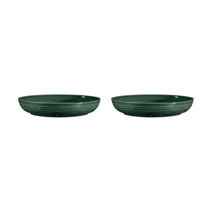 Bol Terra Ø 28 cm, lot de 2 - Moss Green - Seltmann Weiden