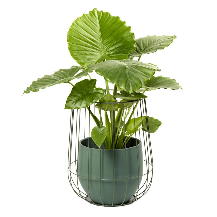 Pot de fleur dans un panier Serax Ø37 cm h46 cm, Army green Serax