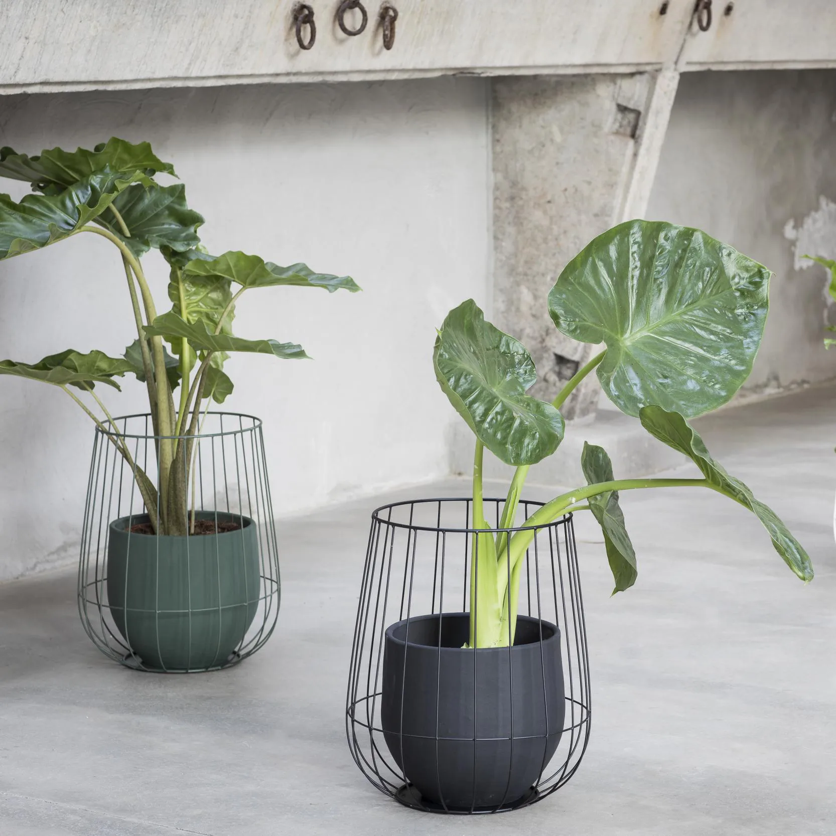 Pot de fleur dans un panier Serax Ø37 cm h46 cm, Black Serax