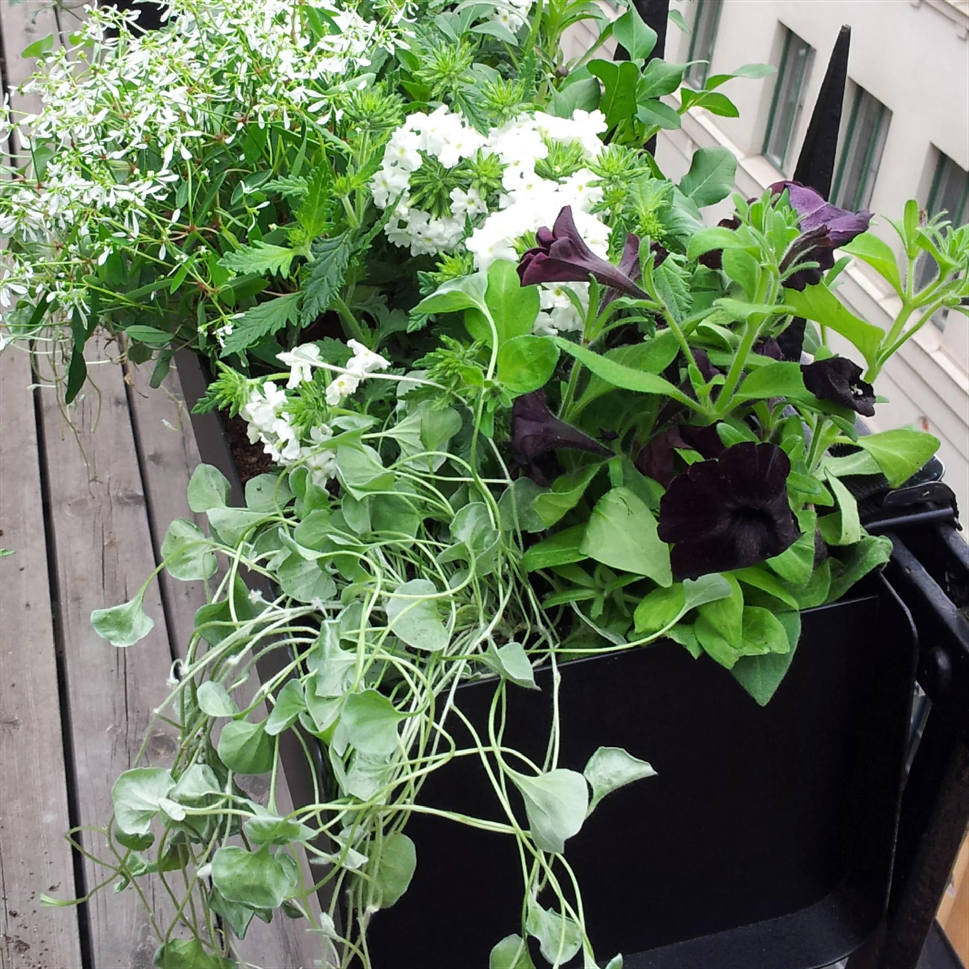 Jardinière Jorda, Noir 60 cm SMD Design