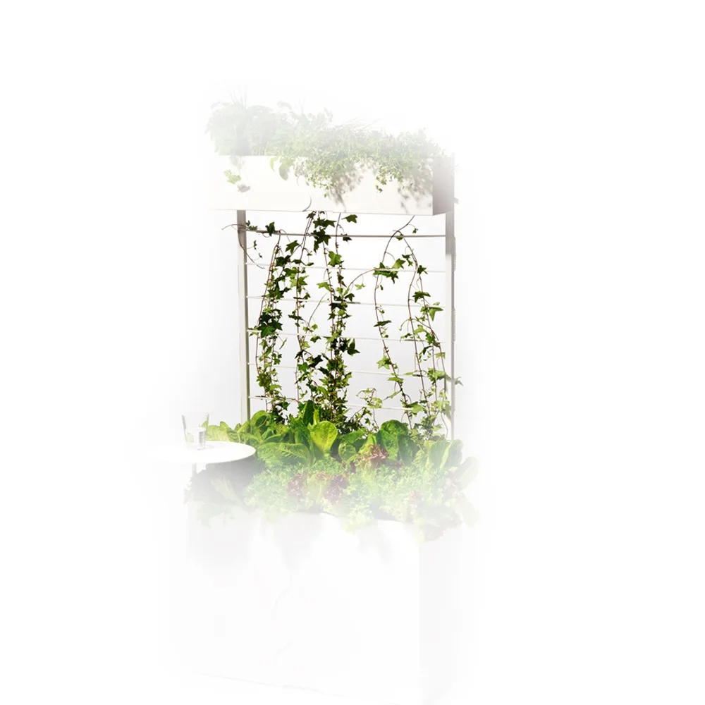 Treillage Urban, Blanc SMD Design