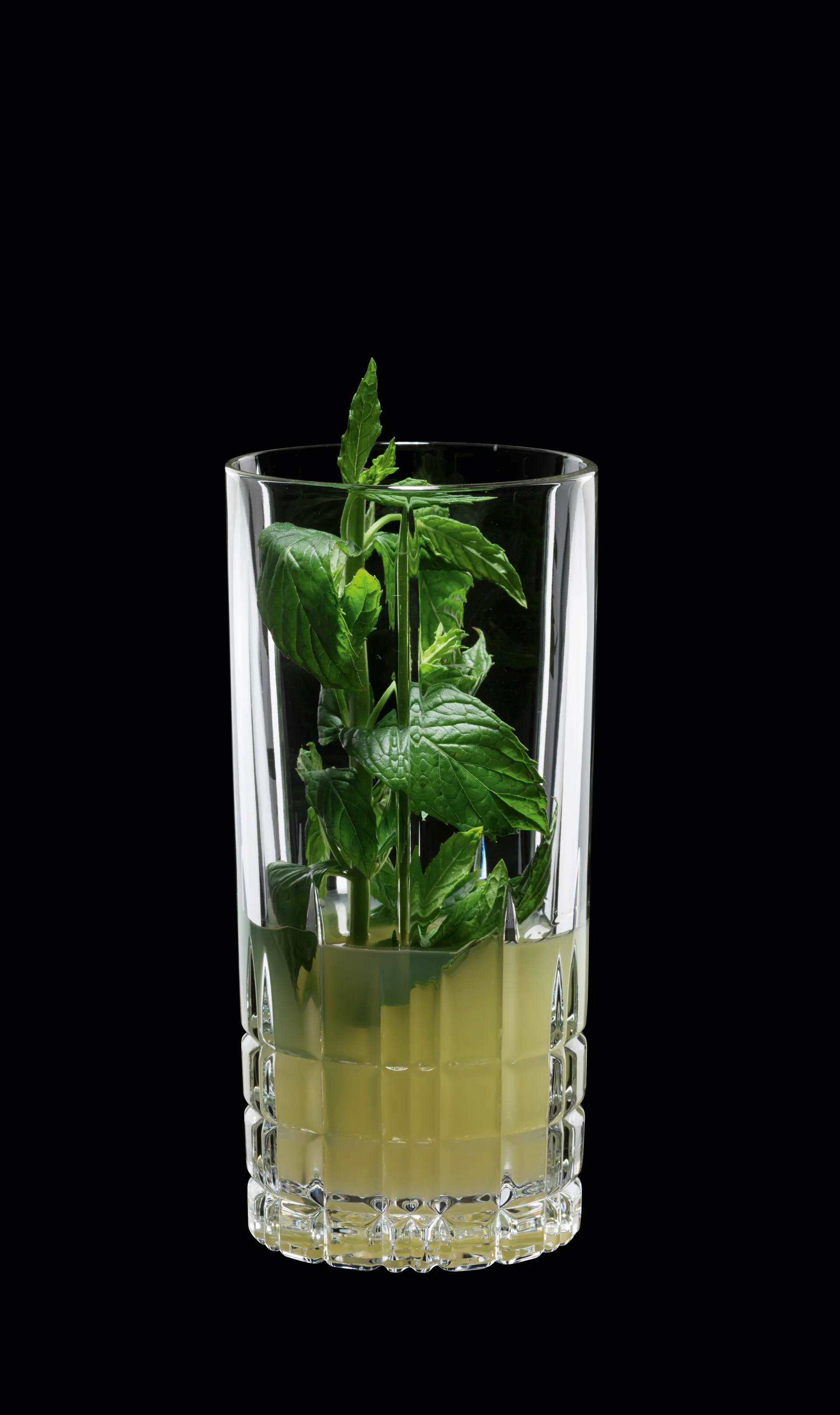 Verre à long drink Perfect Serve 35cl lot de 4, transparent Spiegelau