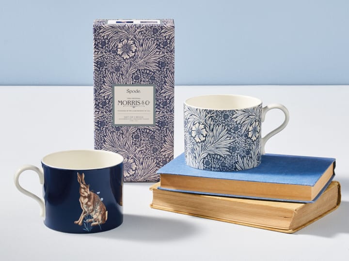 Tasse Marigold & Hare 34 cl 2 Pièces - Multi - Spode