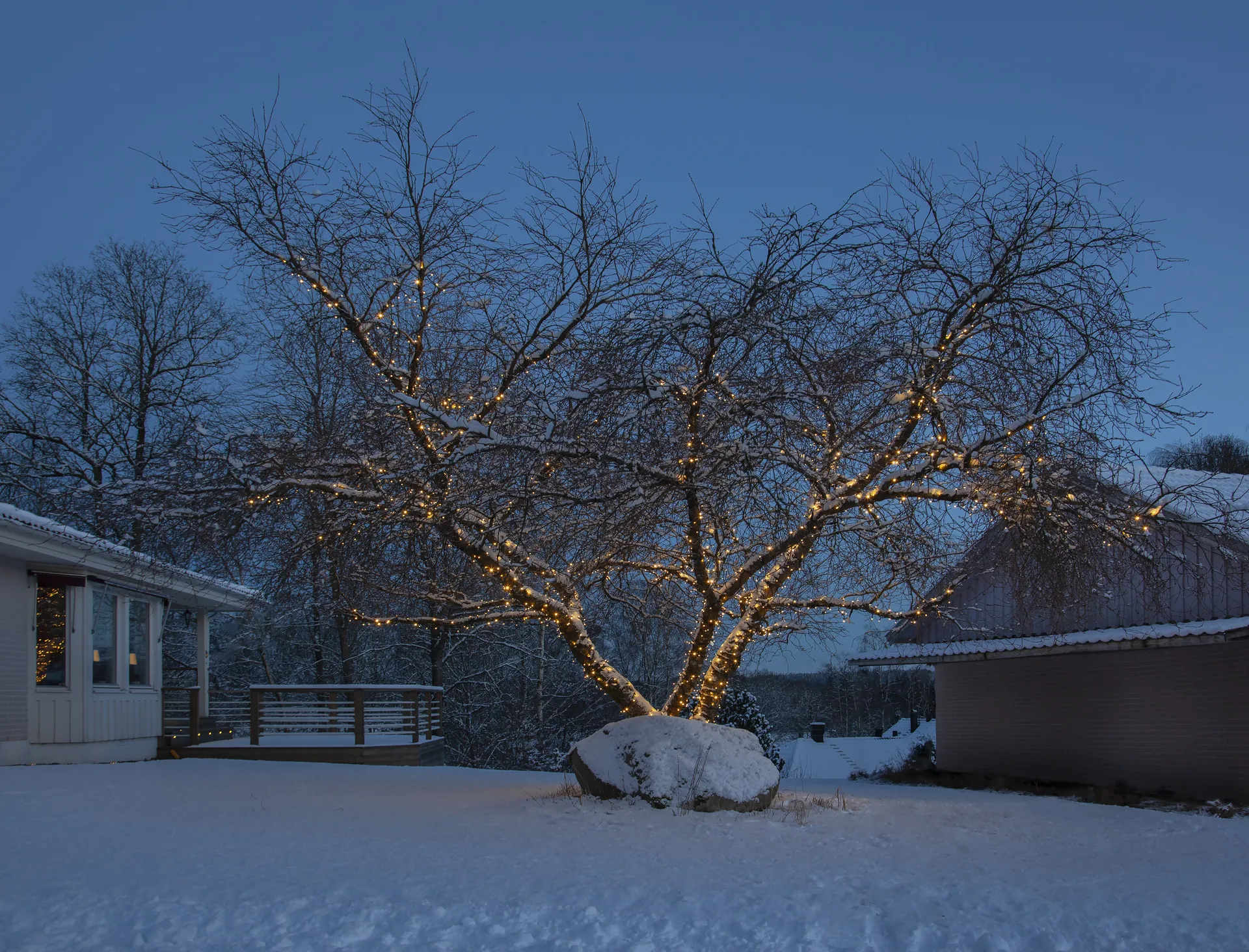 Câble de démarrage Star Trading système LED, 180 cm Star Trading