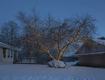 Câble de démarrage Star Trading système LED - 180 cm - Star Trading