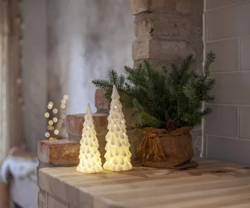 Décoration intérieure hiver - Épicéa blanc, 2 pièces - Star Trading