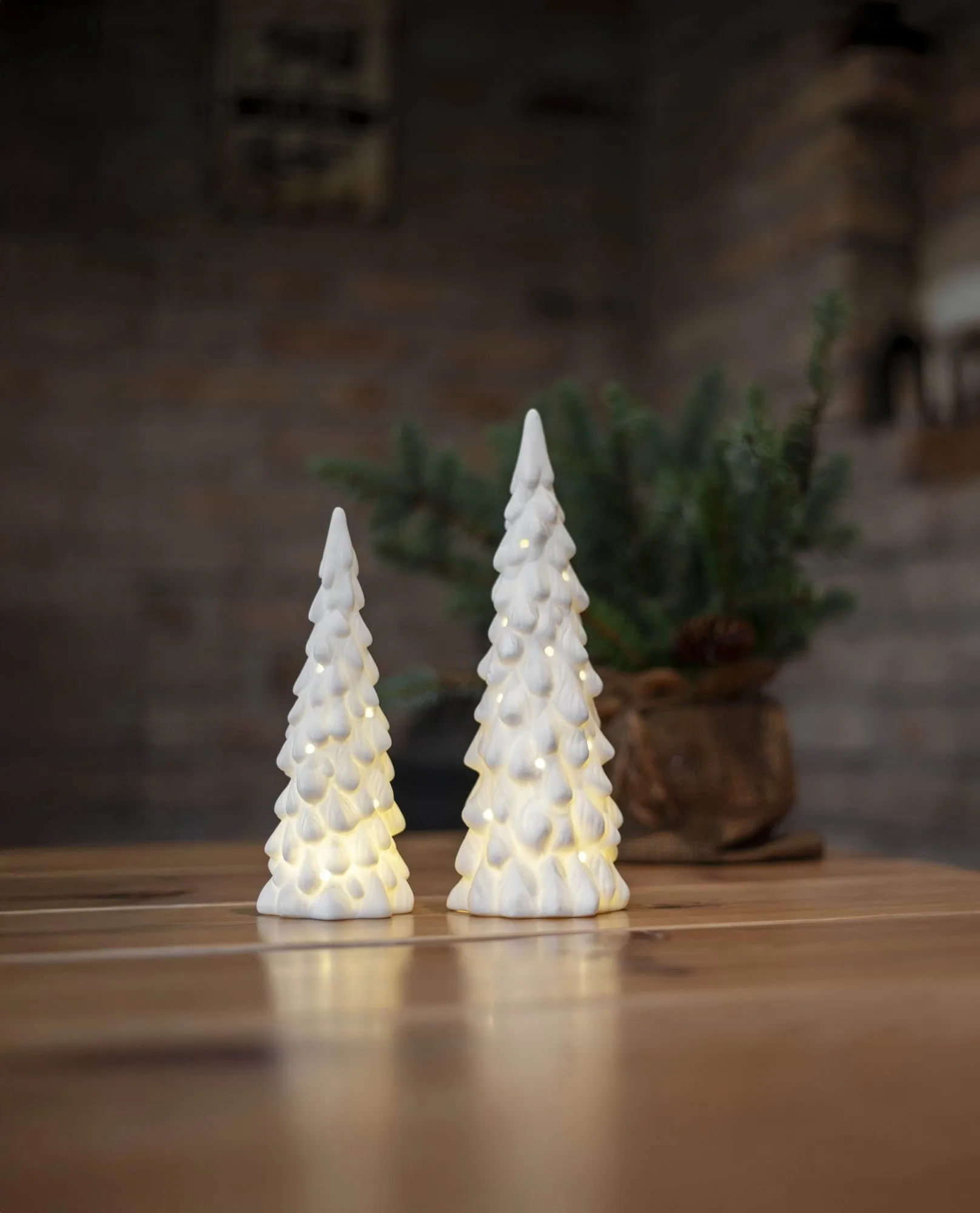 Décoration intérieure hiver, Épicéa blanc, 2 pièces Star Trading