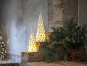 Décoration intérieure hiver - Épicéa blanc, 2 pièces - Star Trading