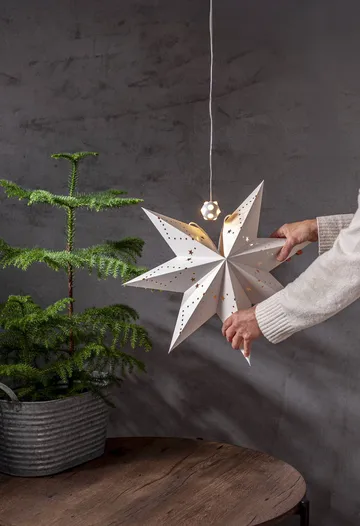 Guirlande lumineuse Lighty, source lumineuse pour étoile de l'Avent - Balle blanche - Star Trading