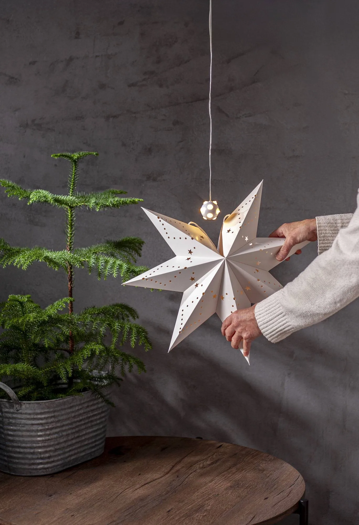 Guirlande lumineuse Lighty, source lumineuse pour étoile de l'Avent, Balle blanche Star Trading Guirlande lumineuse Lighty, source lumineuse pour étoile de l'Avent, Balle blanche Star Trading