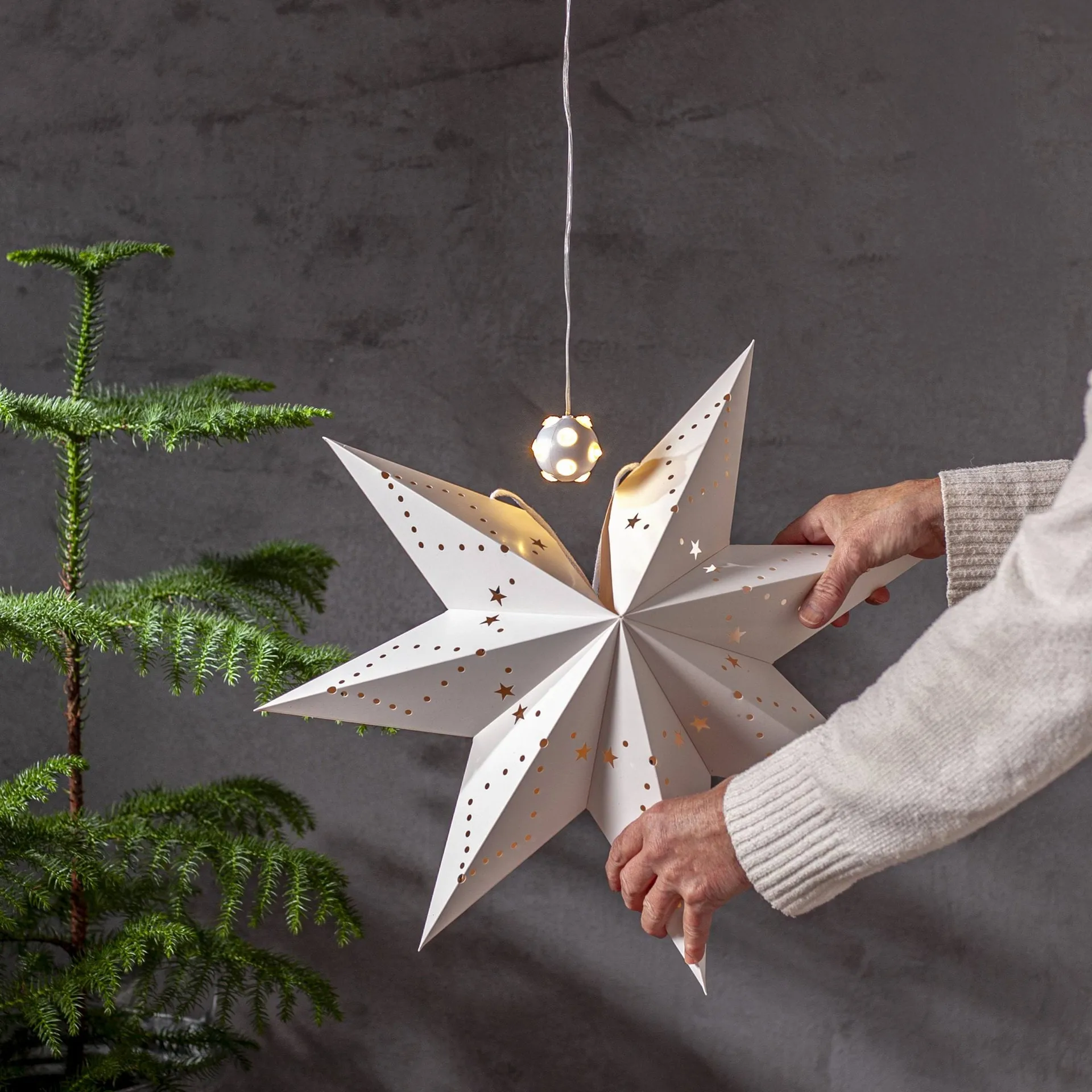 Guirlande lumineuse Lighty, source lumineuse pour étoile de l'Avent, Balle blanche Star Trading Guirlande lumineuse Lighty, source lumineuse pour étoile de l'Avent, Balle blanche Star Trading