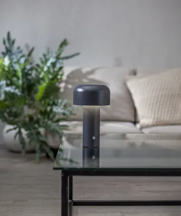 Lampe de table portable Bobby - Gris - Star Trading