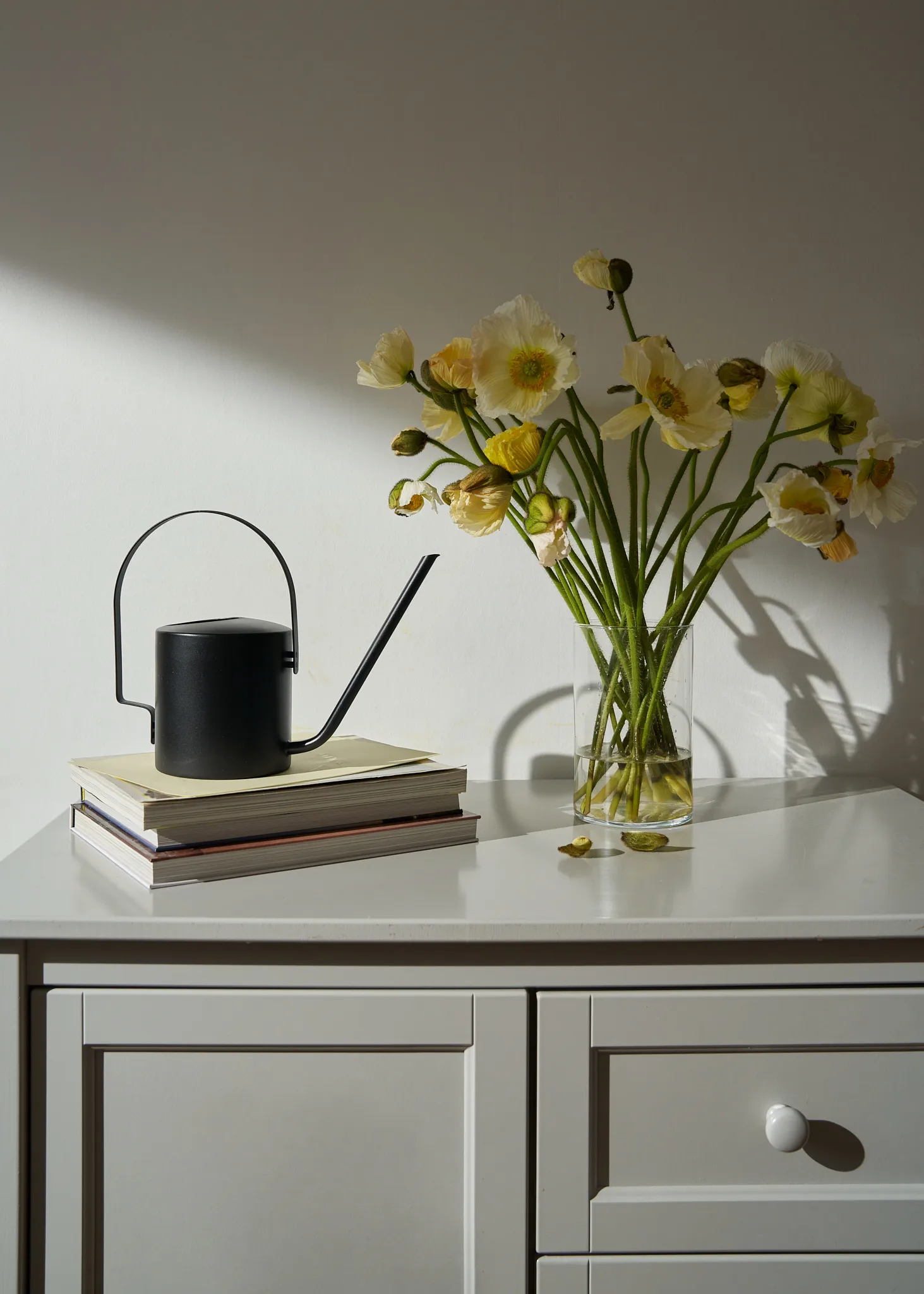 Arrosoir Original 1,7 l, Soft black Stelton