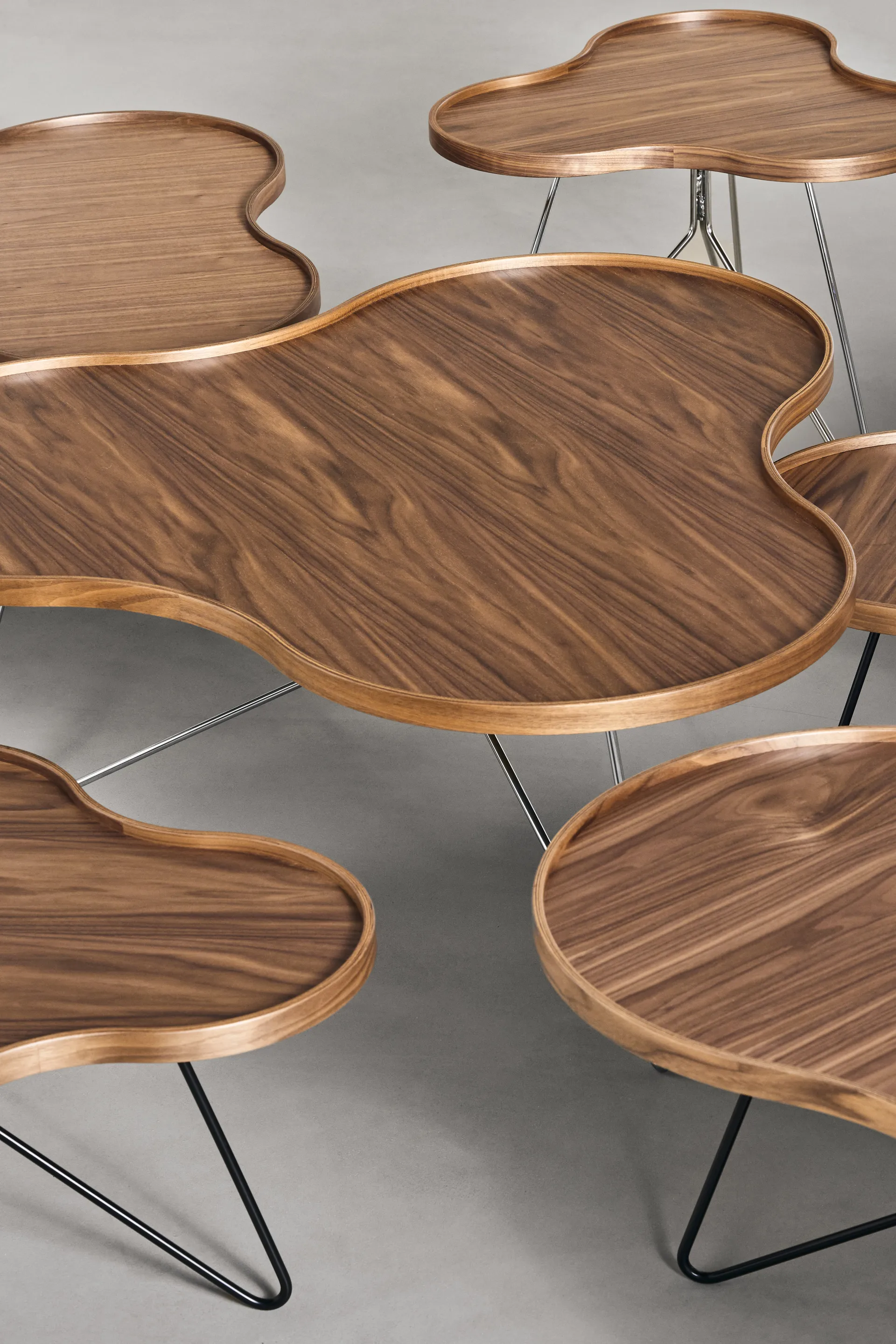 Table Flower Mono édition spéciale 84x90 cm, H39 cm noyer laqué acier chromé Swedese