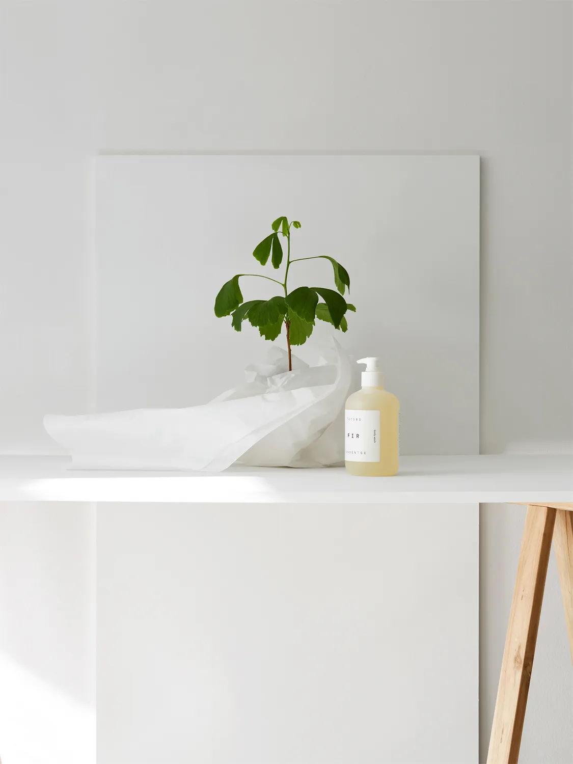 Savon pour les mains Kiyomi, 350 ml Tangent