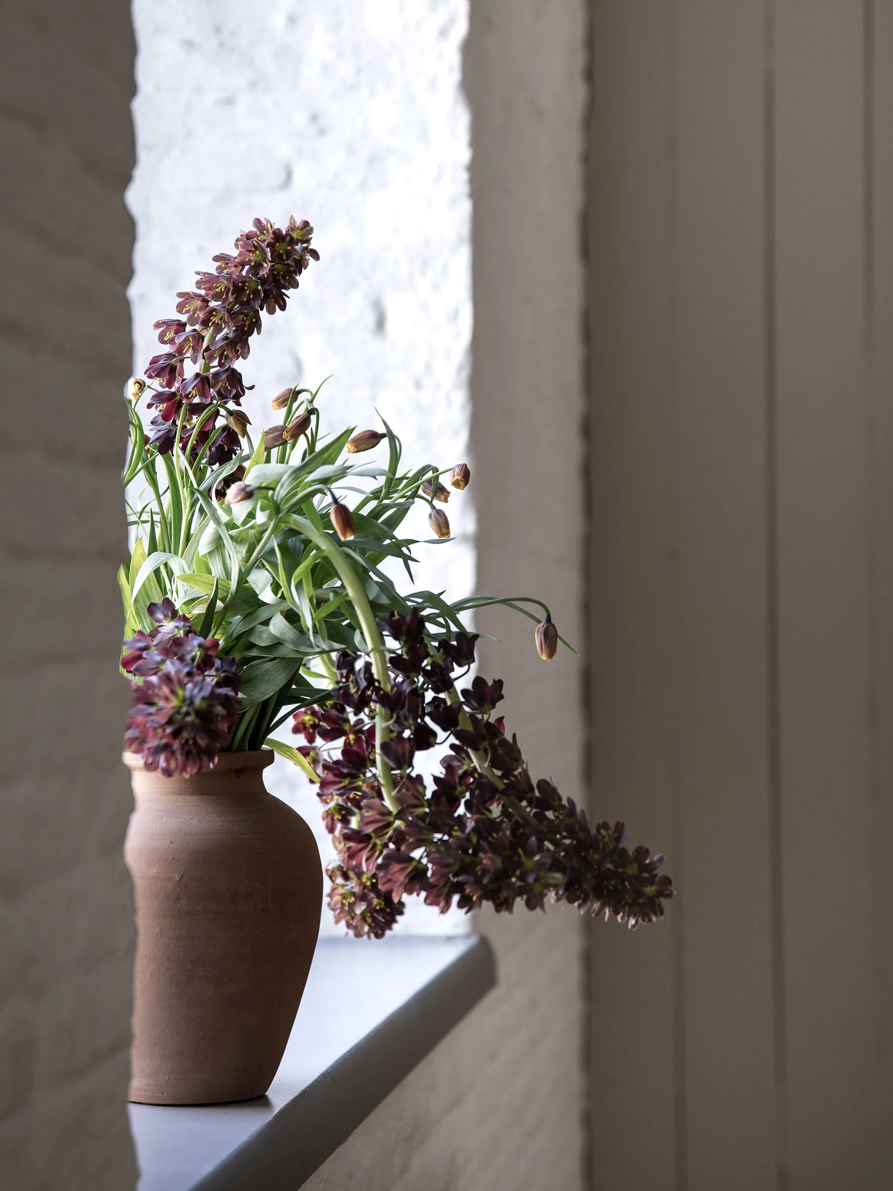 Urne Terracina de taille moyenne de 26 cm, Terre cuite Tell Me More