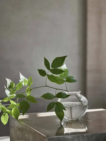 Vase Velino - Transparent, Ø16,5x14,5 cm - Tell Me More
