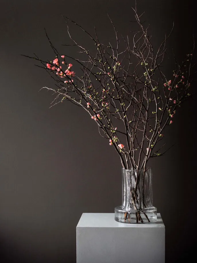 Vase Vienna 25 cm, Clear Tell Me More