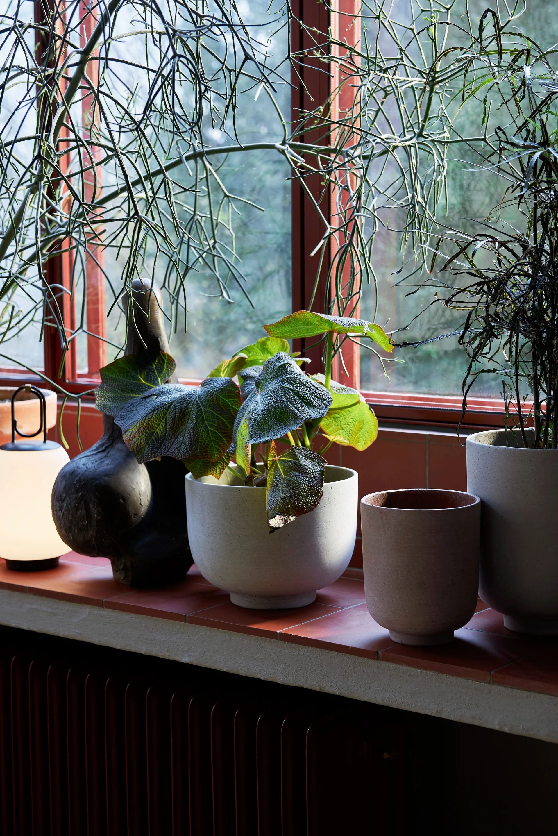 Pot Collect SC71 large Ø24 cm, Milk &Tradition