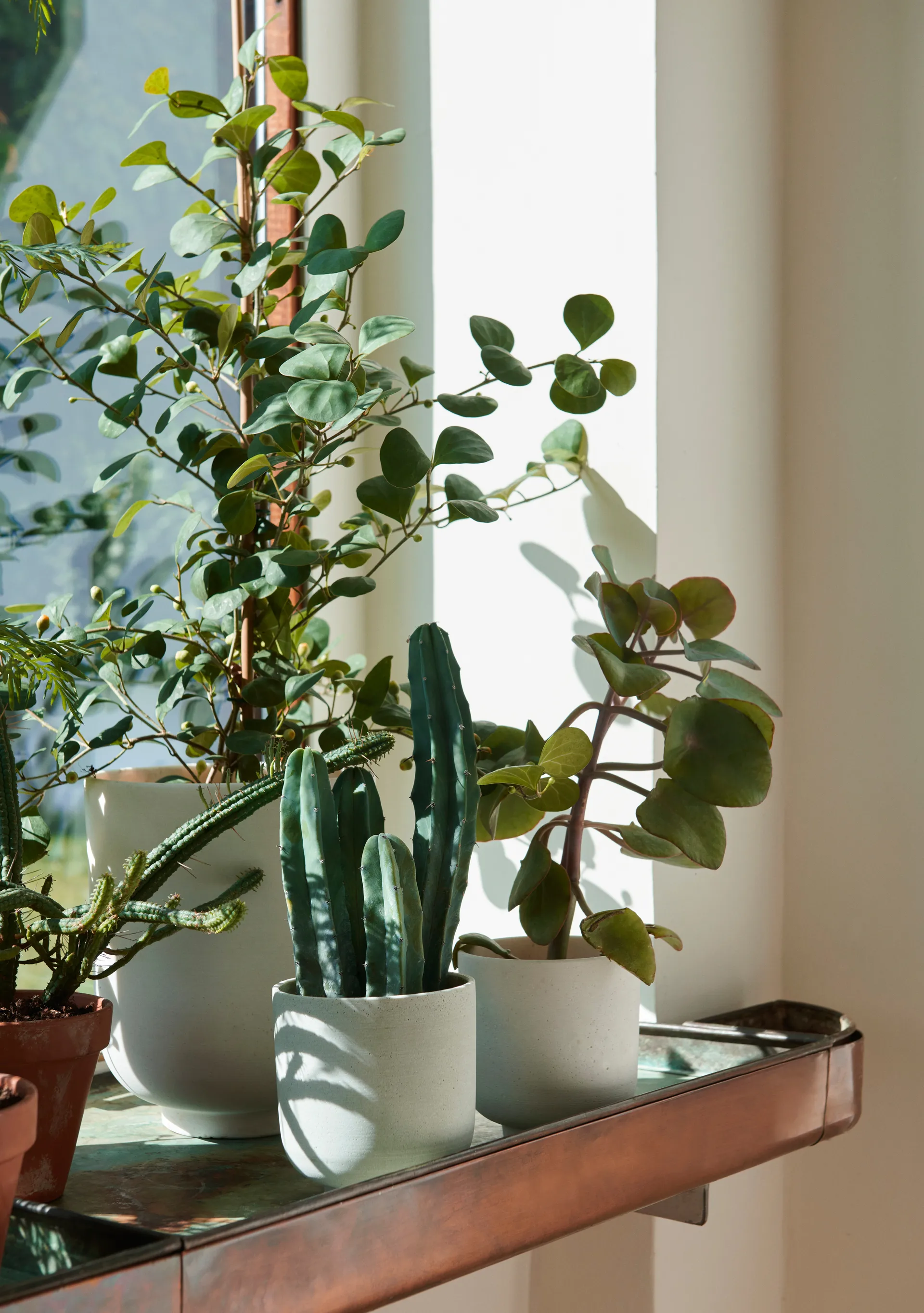 Pot Collect SC72 tall Ø20 cm, Milk &Tradition